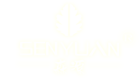 易游